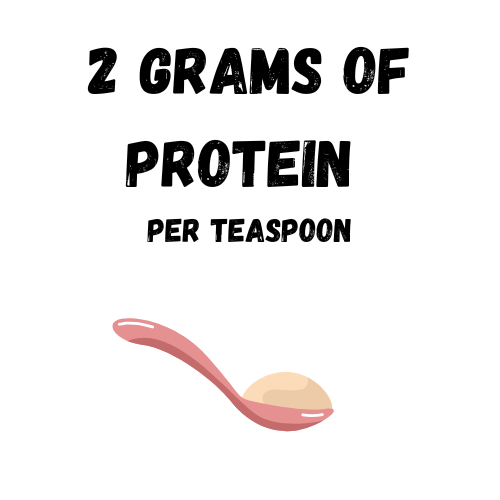 Plant Based Protein Powder - Image 3